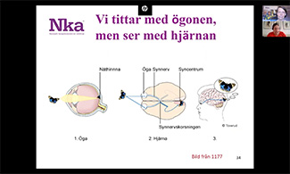 Bild på presentation 