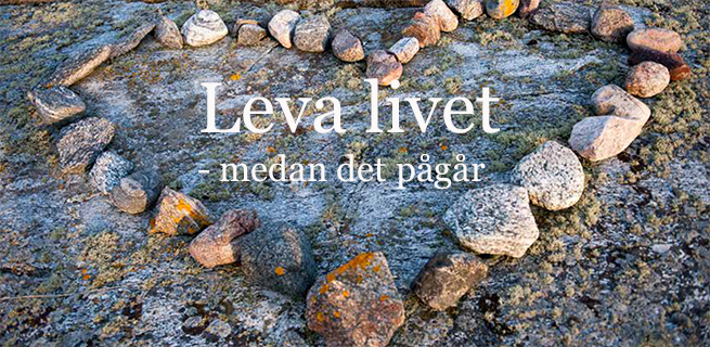 Bild på ett hjärta med texten "Leva livet medan det pågår"