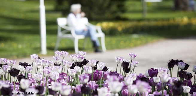 Äldre kvinna på en parkbänk