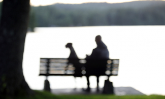 Bild på en person och en hund som sitter på en parkbänk 