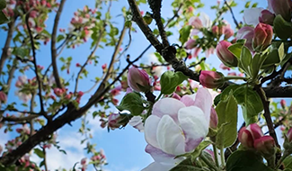 Foto: Marina Von Schedvin