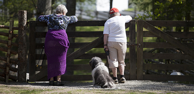 Guide om äldre vuxna och psykisk (o)hälsa