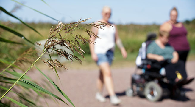 Ett grässtrå i förgrunden. Suddigt i bakgrunden ses en person i rullstol och två personer som går bredvid.