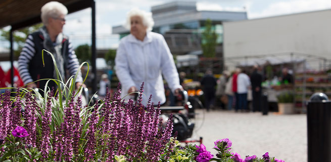 Två äldre kvinnor samtalar