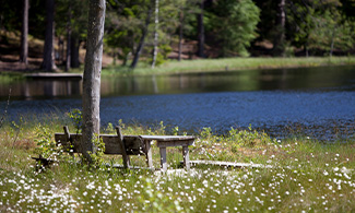 Ett bord med utsikt över en sjö